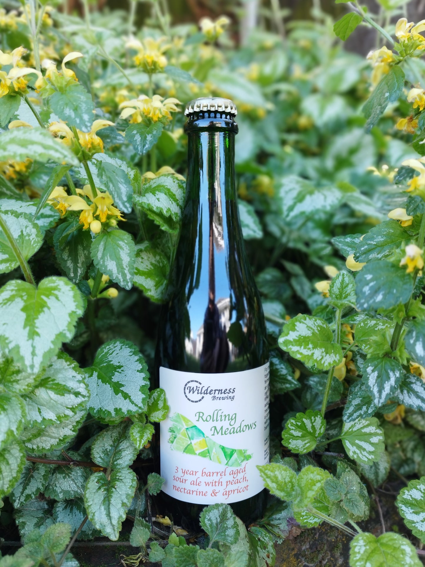 Rolling Meadows - Barrel Aged Sour with Stonefruit