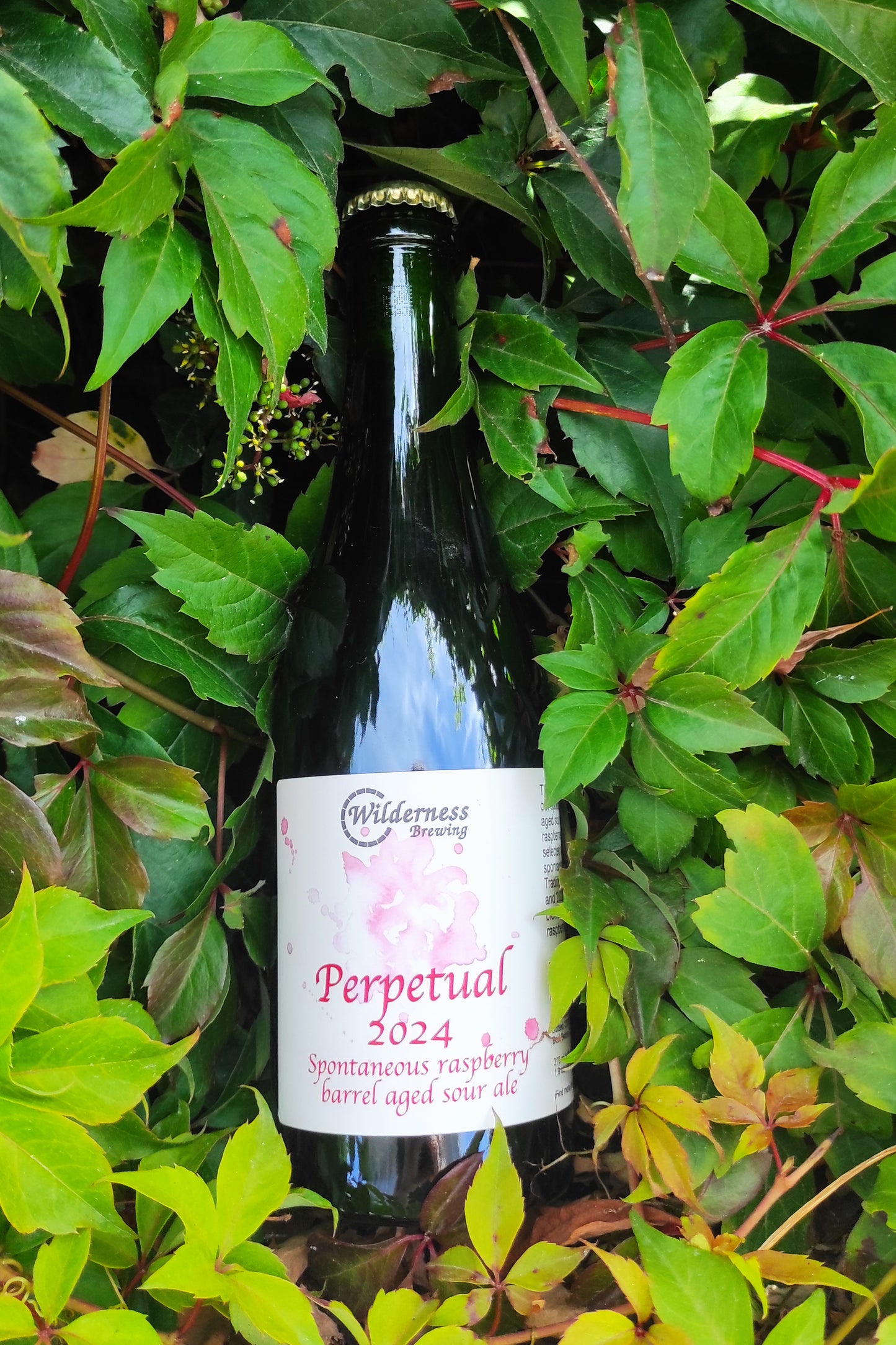 Perpetual - Barrel Aged Raspberry Sour