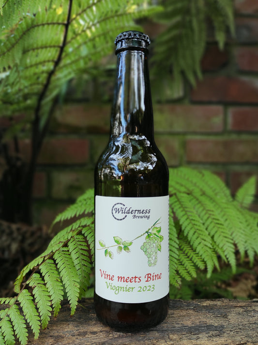 Vine meets Bine, Viognier 2023 - Barrel Aged Sour