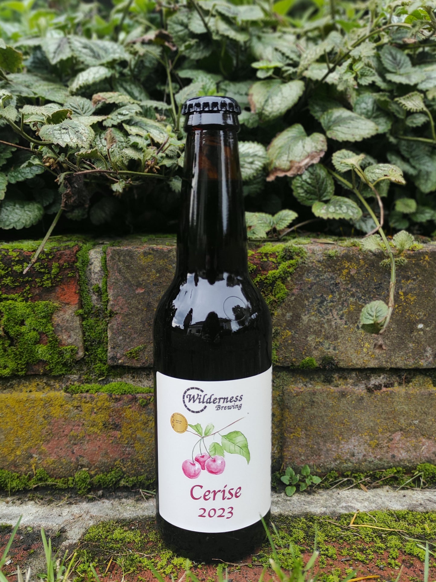 Cerise - Barrel Aged Dark Saison with Sour Cherries