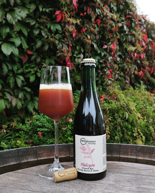 Halcyon - Flemish Red Brandy Barrel & Plums